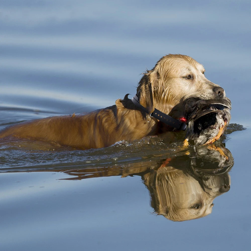 JANPET 1.25Mile Hunting Dog Training Collar Professional Remote PET Trainer Waterproof Electric Shock Dog Collars with LED Light