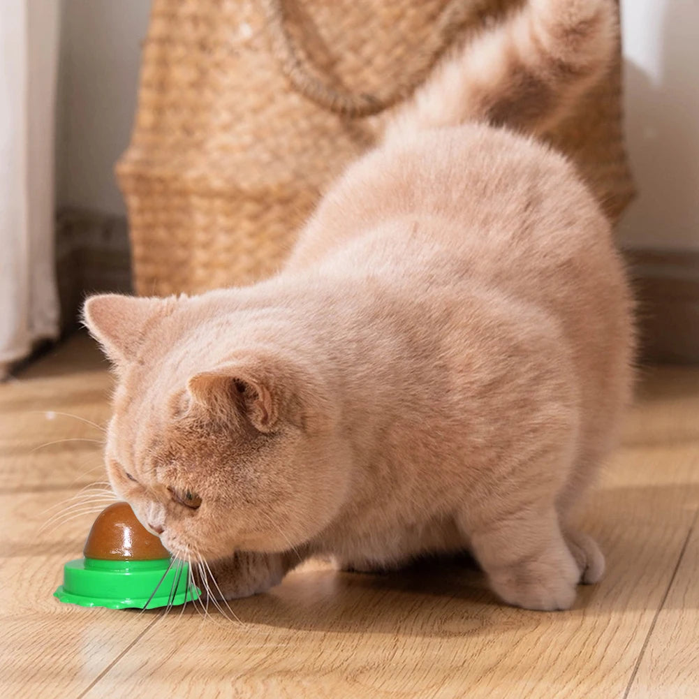 5/10Pcs Catnip Wall Ball Healthy Nutrition Lickable Pet Catnip Cat Sugar Ball Cat Snacks Candy Ball Pet Supplies