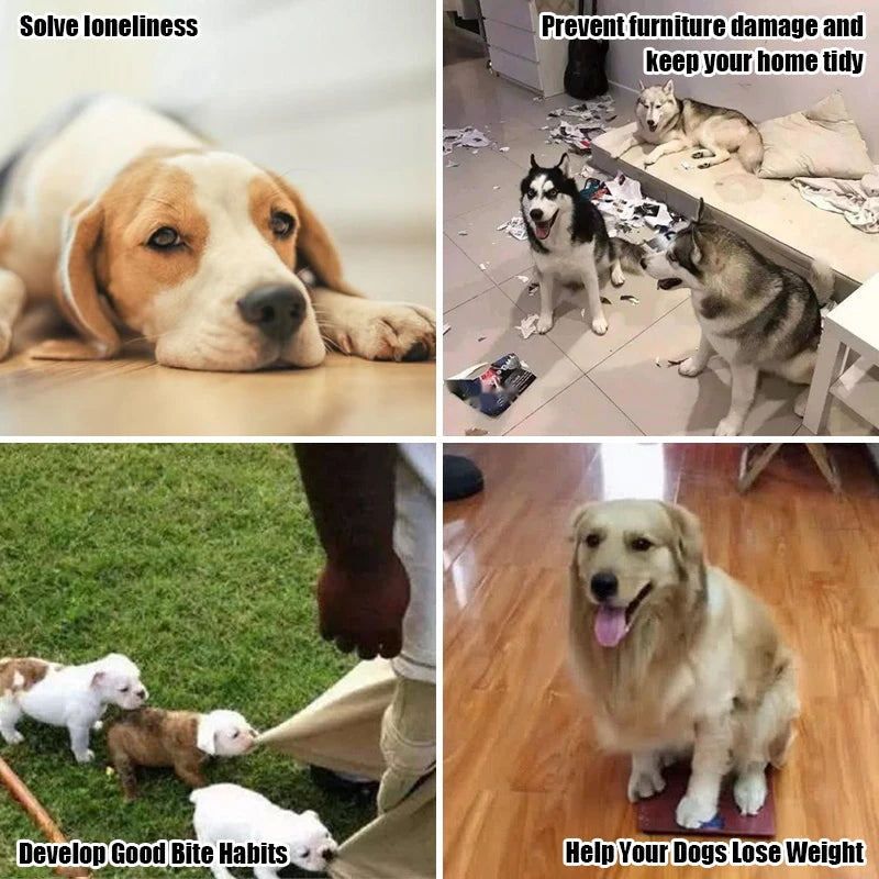 1PC Indestructible Plush Parrot Dog Toy, Squeaky Stuffing Toy, Pet Supplies for Small and Big Dogs