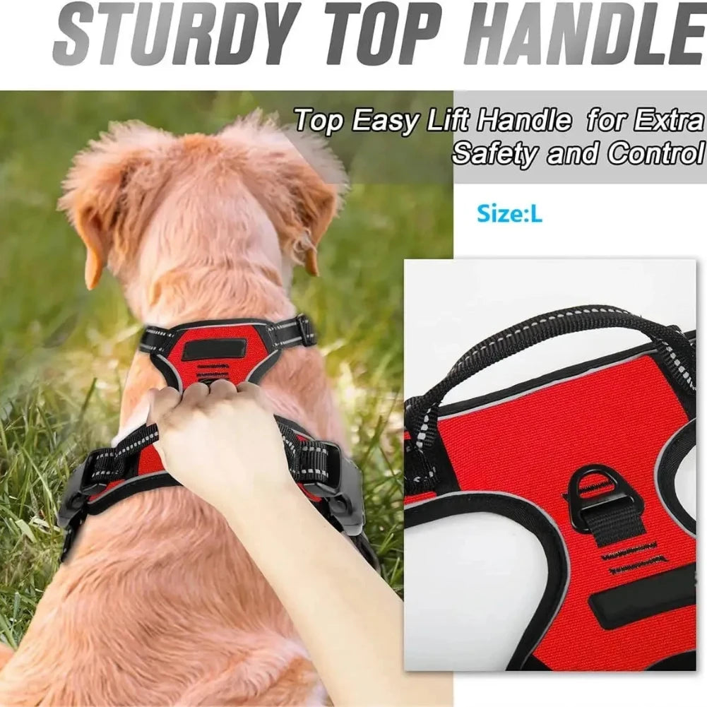 Dog Collars Harness Big Vests Leash Pet Shop Everything for Dogs Leather Puppy Accessories Medium Small Set