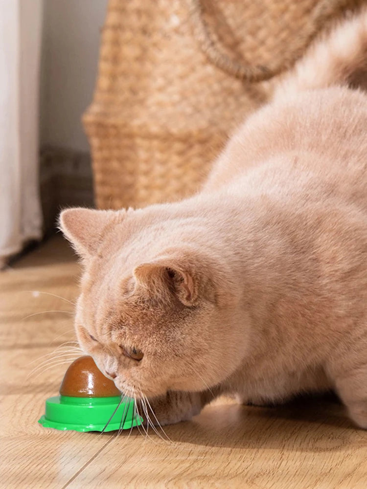 5/10Pcs Catnip Wall Ball Healthy Nutrition Lickable Pet Catnip Cat Sugar Ball Cat Snacks Candy Ball Pet Supplies