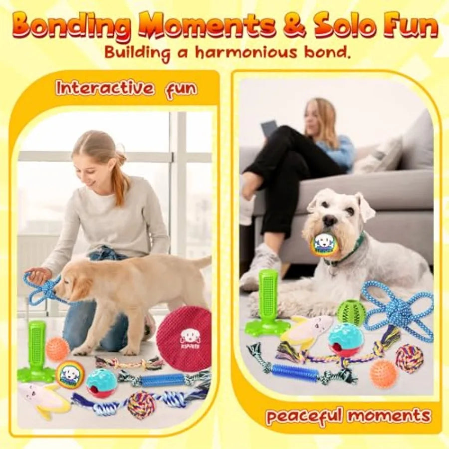 25 Pack Various Puppy Dog Toys for Teething Entertainment Interaction Puppy Chew Toys Pack with Rope Toy Treat Balls and Dog Sq