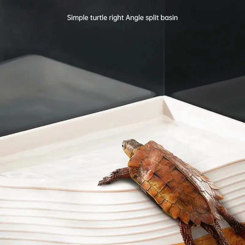 Reptile Water Bowl Anti-Slip Turtle Bathing Pool Tortoise Feeder Tortoise Feeding Dish for Hamster Tortoise Snake supplies