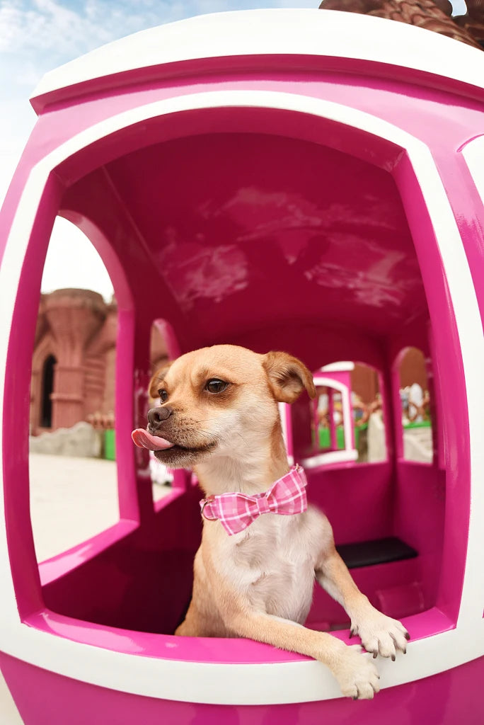 Elegant little tail Pink Plaid Dog Collar Adjustable Dog Collar with Bowtie Pet Gift Girl Collar for Dog Soft Bowtie Dog Collars