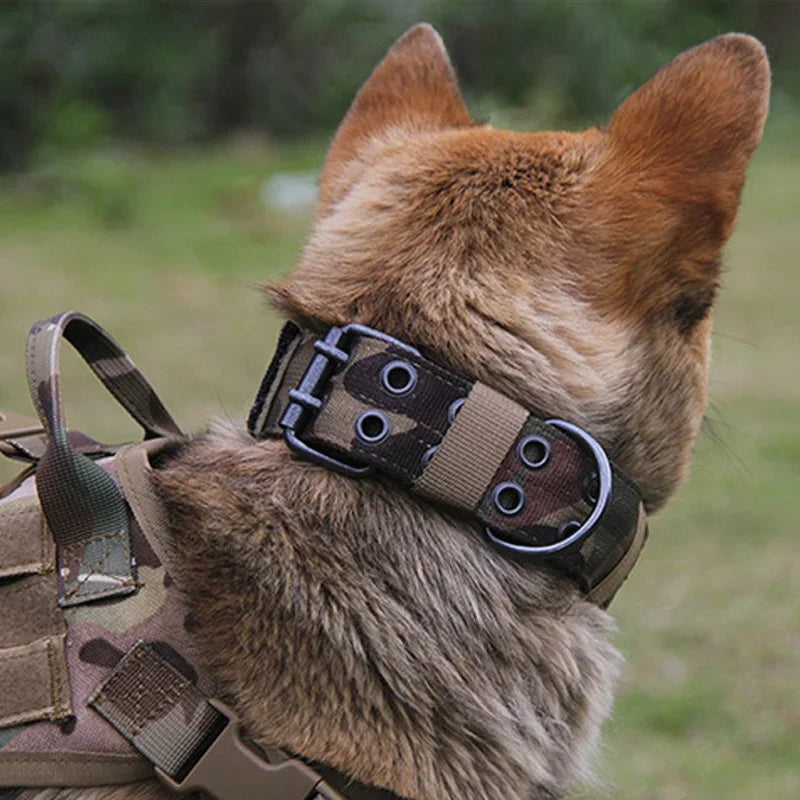 Adjustable Dog Collars Classic Reflective Training Military Dog Collar Nylon Heavy Duty Tactical Dog Collar German Shepherd