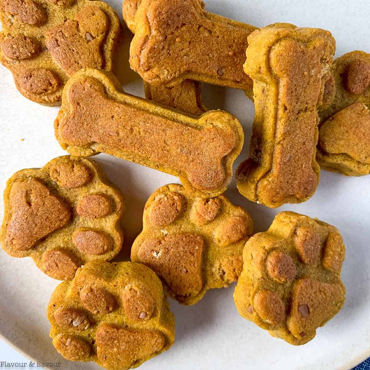 Pet Treats