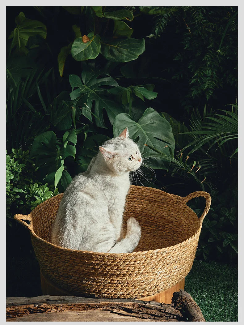 Pure Manual Cat Bed House Rattan Woven Four Seasons Nest Cat Scratch Board General Dandelion Woven Cool Pet Home Cat Accessories
