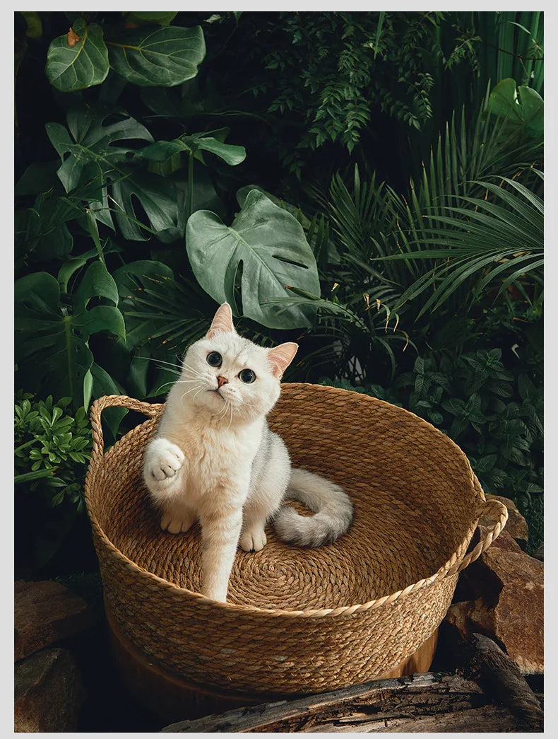 Pure Manual Cat Bed House Rattan Woven Four Seasons Nest Cat Scratch Board General Dandelion Woven Cool Pet Home Cat Accessories