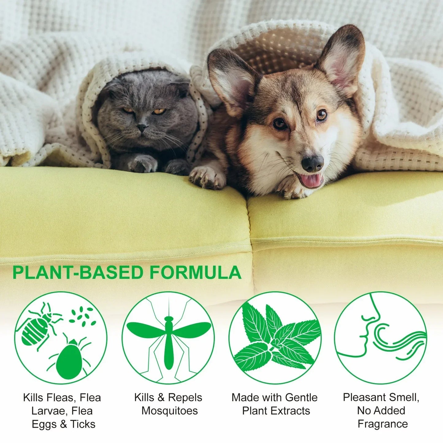 100ml PET Flea Tick Spray for Dogs Cats Fresh Fragrance Natural Pet Care Topical Spray for Dog Cat Accessories Cleaning Products
