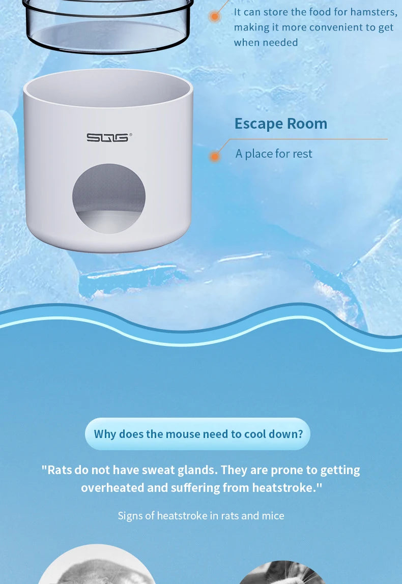 Hamster Ice House Golden Bear Greenhouse Summer Coolness and Cooling Artifact Small Pet Summer Shelter Evacuation House