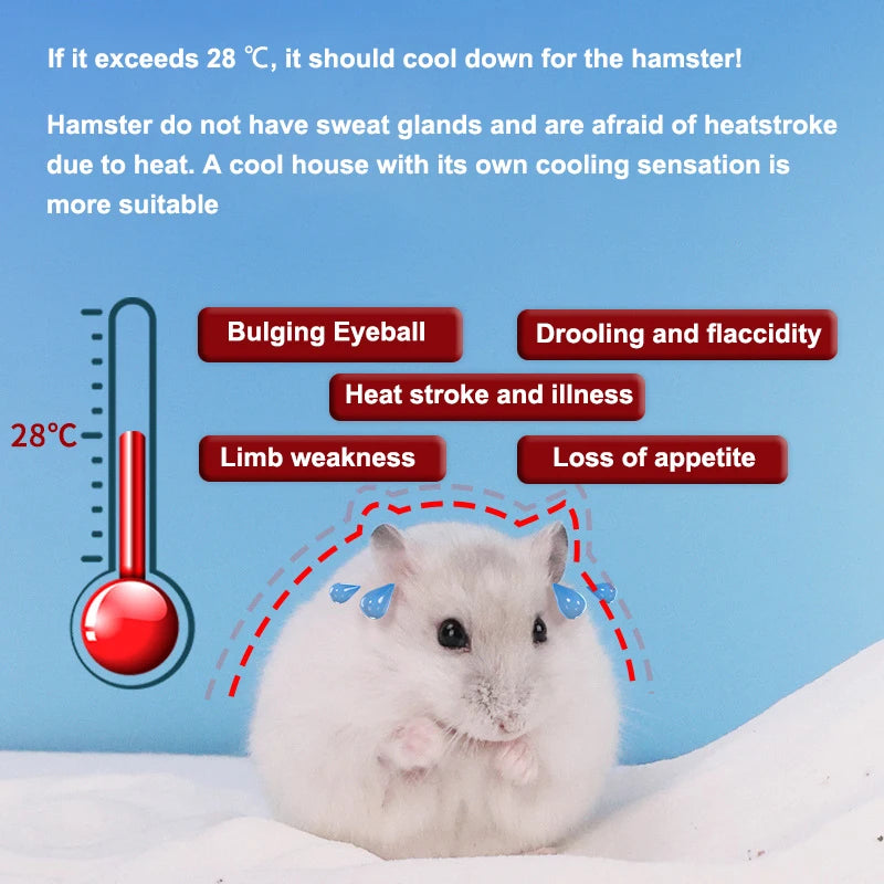 Hamster Ice House Golden Bear Greenhouse Summer Coolness and Cooling Artifact Small Pet Summer Shelter Evacuation House