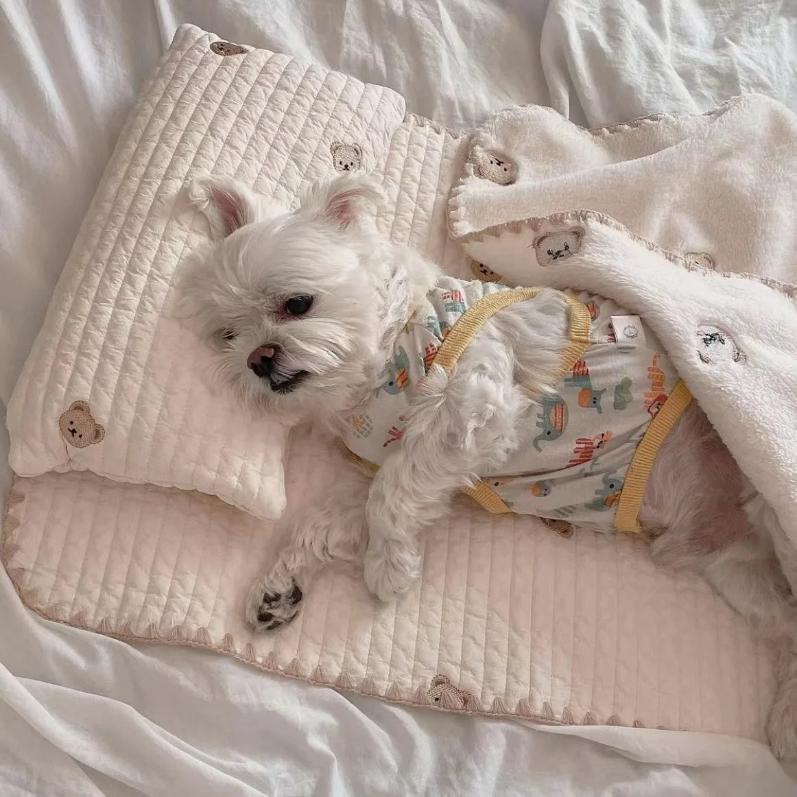 3Pcs /Set Dog Bed Set with Pillow Mattress Comforter Removable Washable Cat Nest Soft Comfortable Pet Supplies Dog Accessories