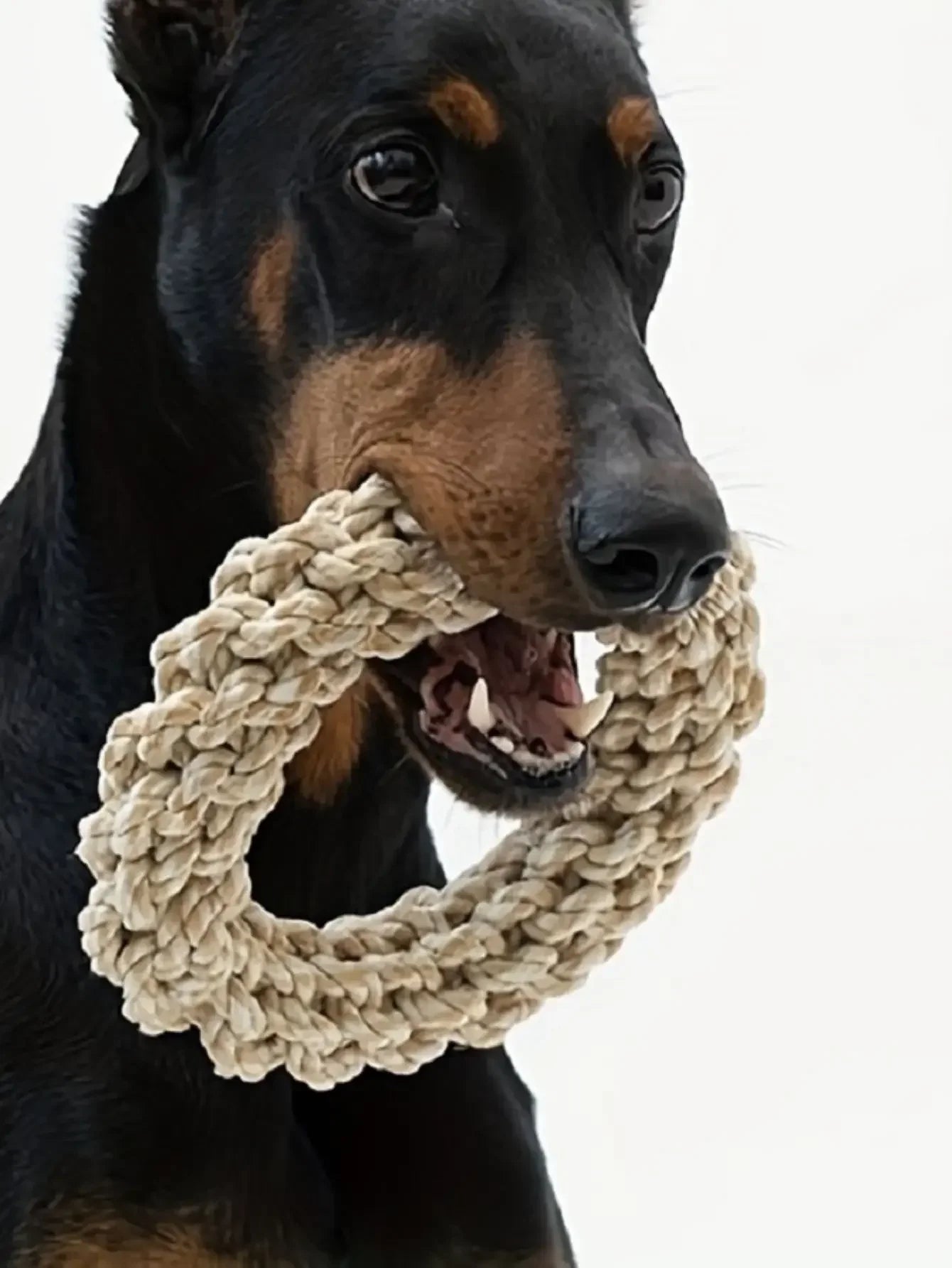 Pet Dog Rope Toy Durable Chew Bite Resistant Pet Toys for Medium Large Dogs Golden Retriever Pitbull Labrador