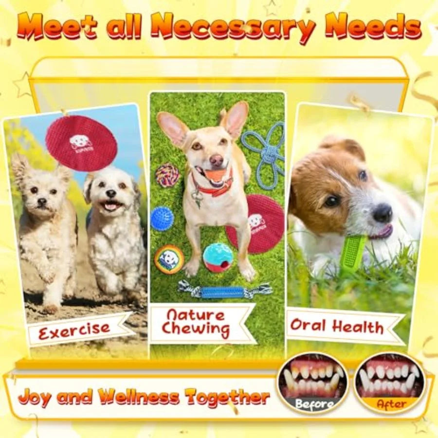 25 Pack Various Puppy Dog Toys for Teething Entertainment Interaction Puppy Chew Toys Pack with Rope Toy Treat Balls and Dog Sq