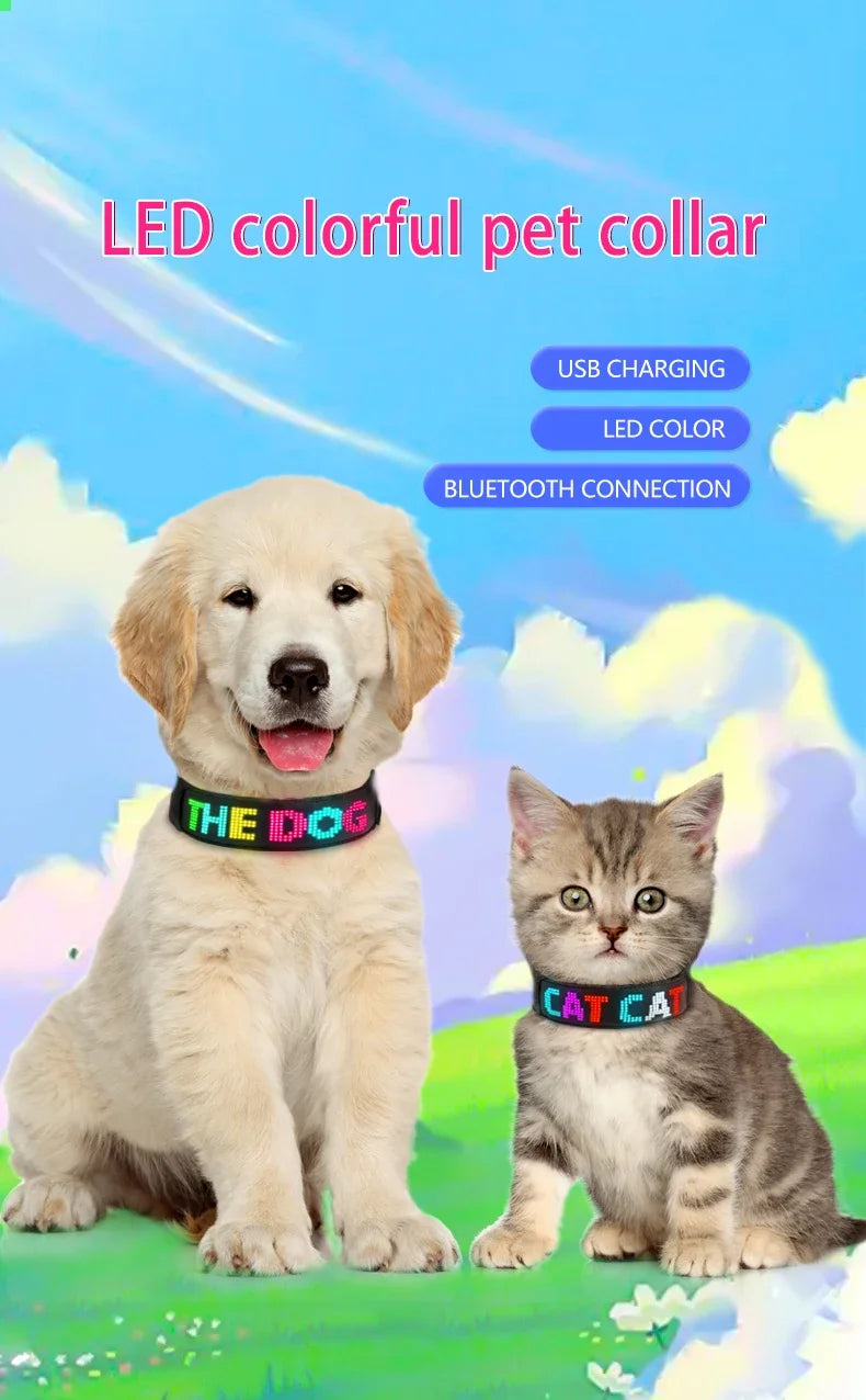 New Pet LED Dog Collars USB Rechargeable Multilingual Flashing Light Up Screen Dog Collar Safe Luminous Pet Necklace Adjustable