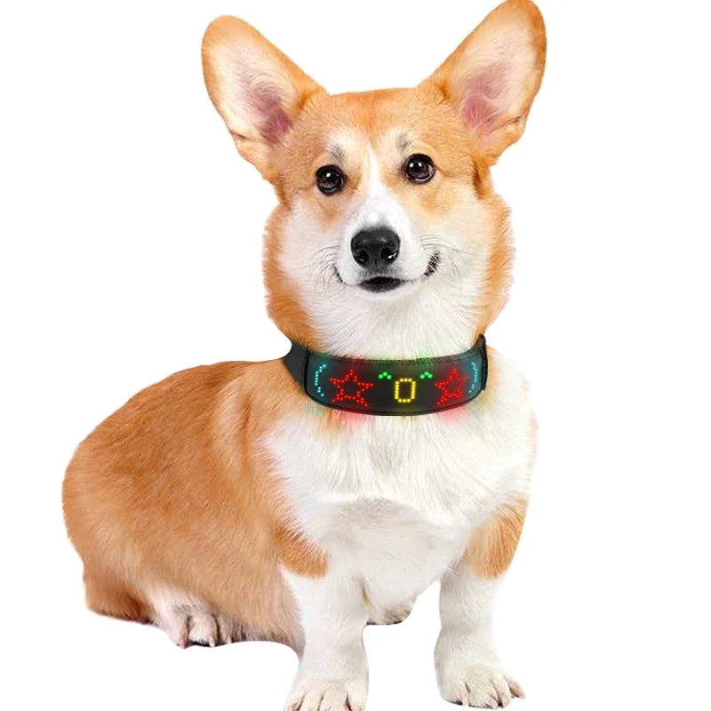 New Pet LED Dog Collars USB Rechargeable Multilingual Flashing Light Up Screen Dog Collar Safe Luminous Pet Necklace Adjustable