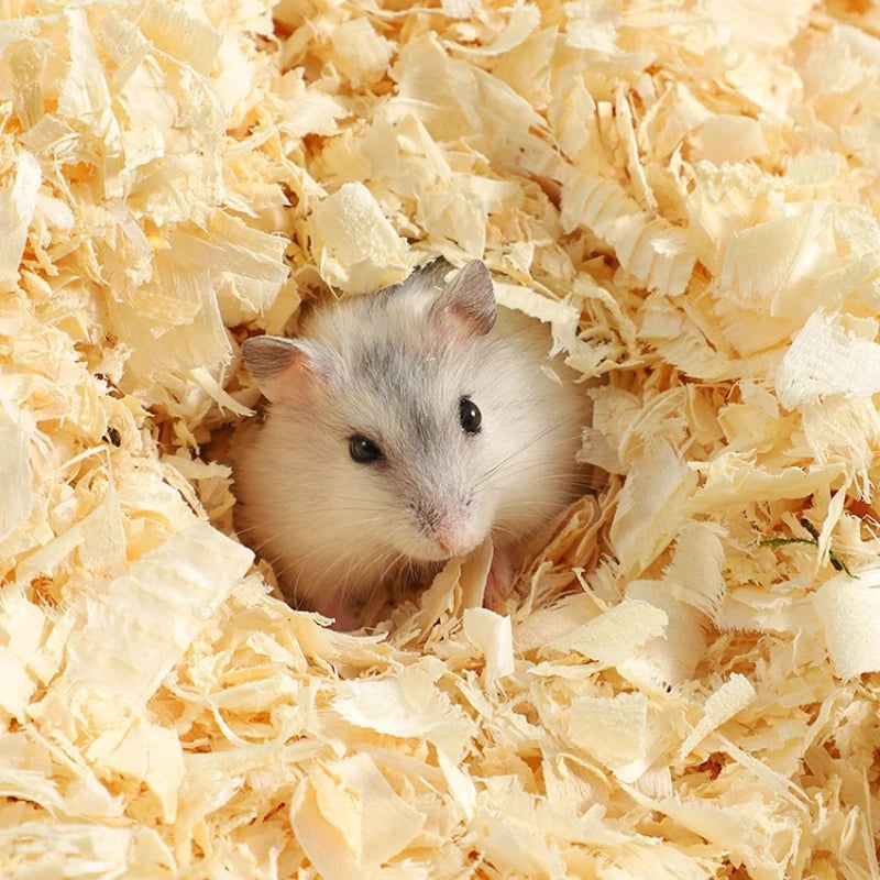 1KG Birch Hamster Bedding Birch Shavings Bedding and Litter for Guinea Pig Rabbit Snake Enclosure Horse Bunny Hedgehog