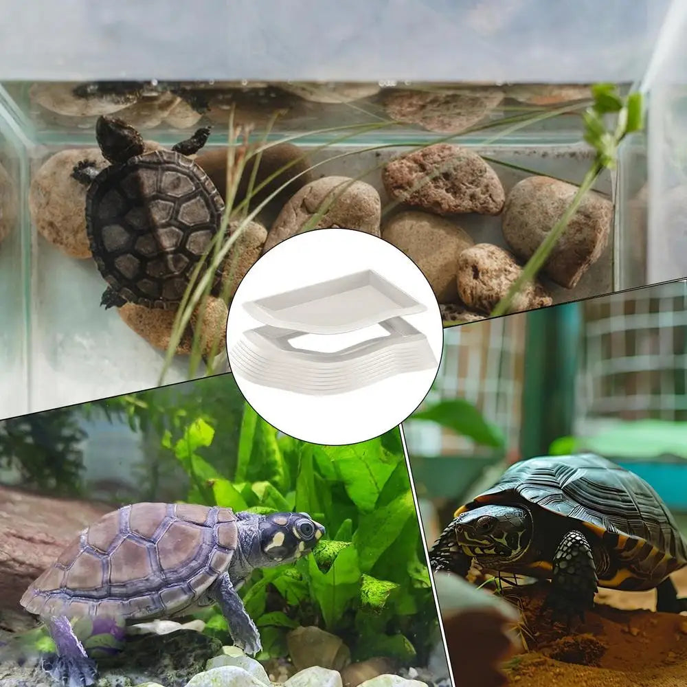 Reptile Water Bowl Anti-Slip Turtle Bathing Pool Tortoise Feeder Tortoise Feeding Dish for Hamster Tortoise Snake supplies
