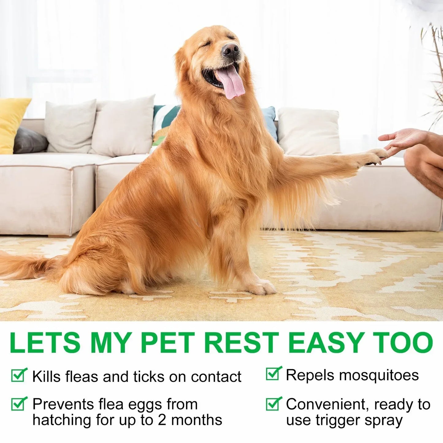100ml PET Flea Tick Spray for Dogs Cats Fresh Fragrance Natural Pet Care Topical Spray for Dog Cat Accessories Cleaning Products