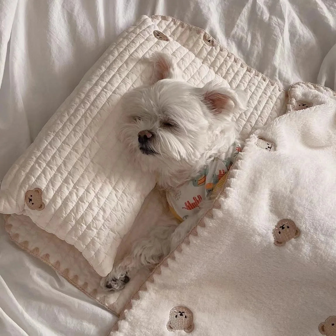 3Pcs /Set Dog Bed Set with Pillow Mattress Comforter Removable Washable Cat Nest Soft Comfortable Pet Supplies Dog Accessories