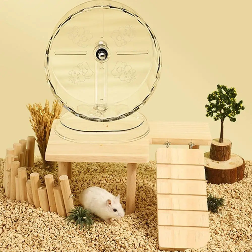 24CM Hamster Running Sport Transparent Widened Running Wheel Support Toy Small Pet Bearing Silent Running Wheel Pets Health Toy
