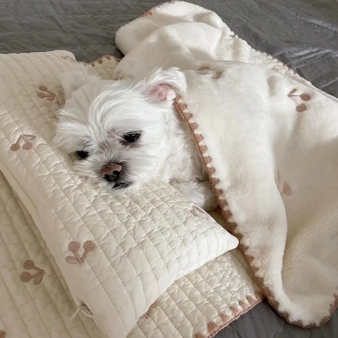 3Pcs /Set Dog Bed Set with Pillow Mattress Comforter Removable Washable Cat Nest Soft Comfortable Pet Supplies Dog Accessories