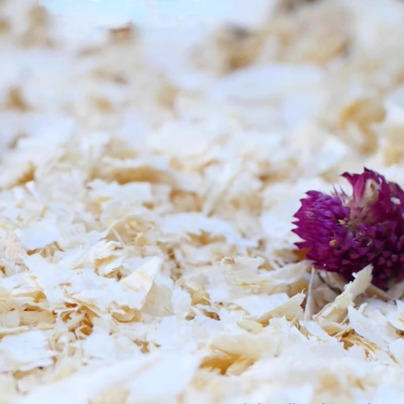 1KG Birch Hamster Bedding Birch Shavings Bedding and Litter for Guinea Pig Rabbit Snake Enclosure Horse Bunny Hedgehog