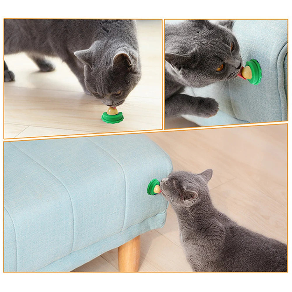 5/10Pcs Catnip Wall Ball Healthy Nutrition Lickable Pet Catnip Cat Sugar Ball Cat Snacks Candy Ball Pet Supplies