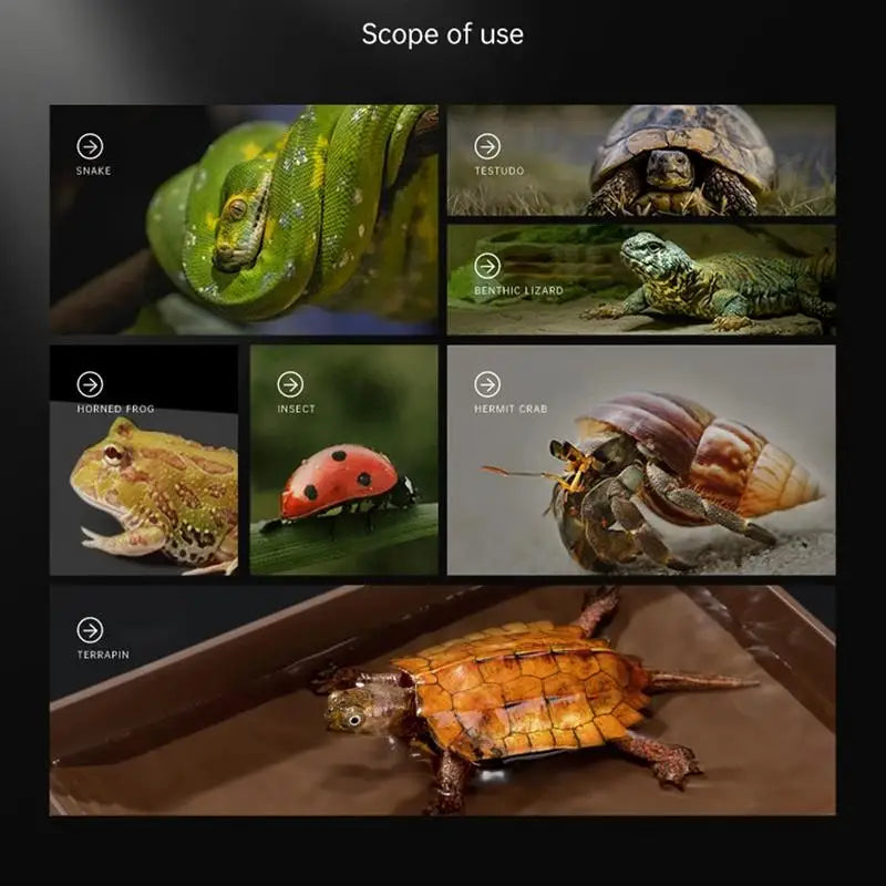 Reptile Water Bowl Anti-Slip Turtle Bathing Pool Tortoise Feeder Tortoise Feeding Dish for Hamster Tortoise Snake supplies
