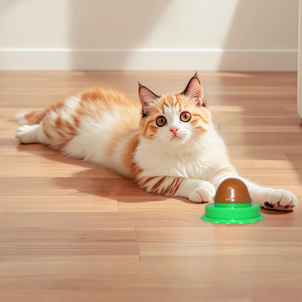5/10Pcs Catnip Wall Ball Healthy Nutrition Lickable Pet Catnip Cat Sugar Ball Cat Snacks Candy Ball Pet Supplies