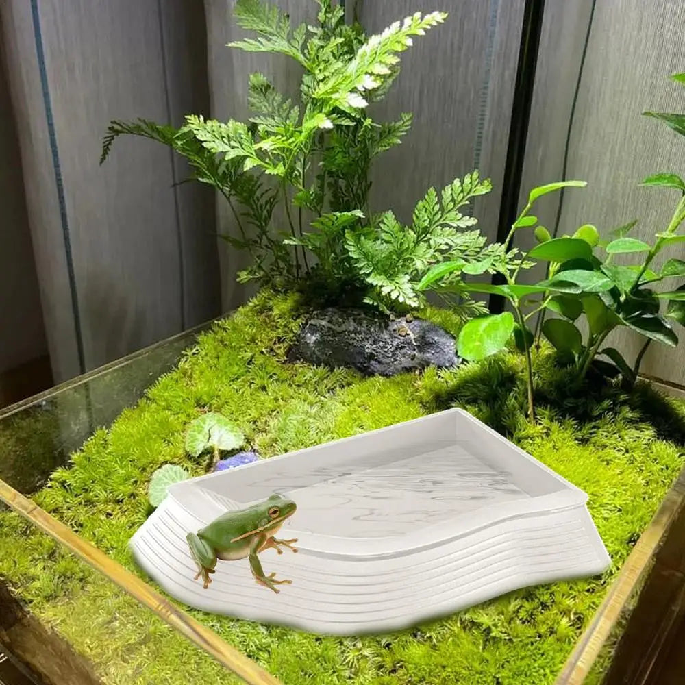 Reptile Water Bowl Anti-Slip Turtle Bathing Pool Tortoise Feeder Tortoise Feeding Dish for Hamster Tortoise Snake supplies