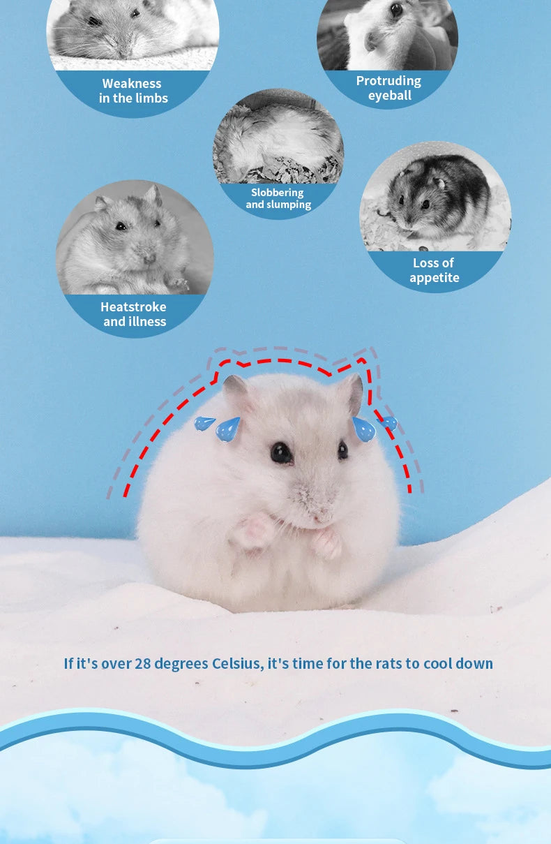 Hamster Ice House Golden Bear Greenhouse Summer Coolness and Cooling Artifact Small Pet Summer Shelter Evacuation House