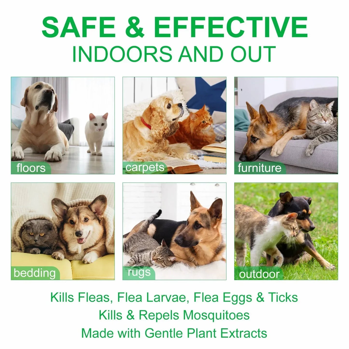 100ml PET Flea Tick Spray for Dogs Cats Fresh Fragrance Natural Pet Care Topical Spray for Dog Cat Accessories Cleaning Products