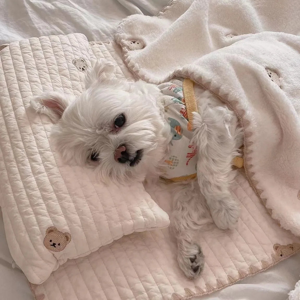 3Pcs /Set Dog Bed Set with Pillow Mattress Comforter Removable Washable Cat Nest Soft Comfortable Pet Supplies Dog Accessories
