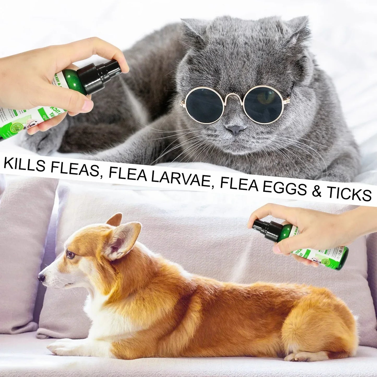 100ml PET Flea Tick Spray for Dogs Cats Fresh Fragrance Natural Pet Care Topical Spray for Dog Cat Accessories Cleaning Products