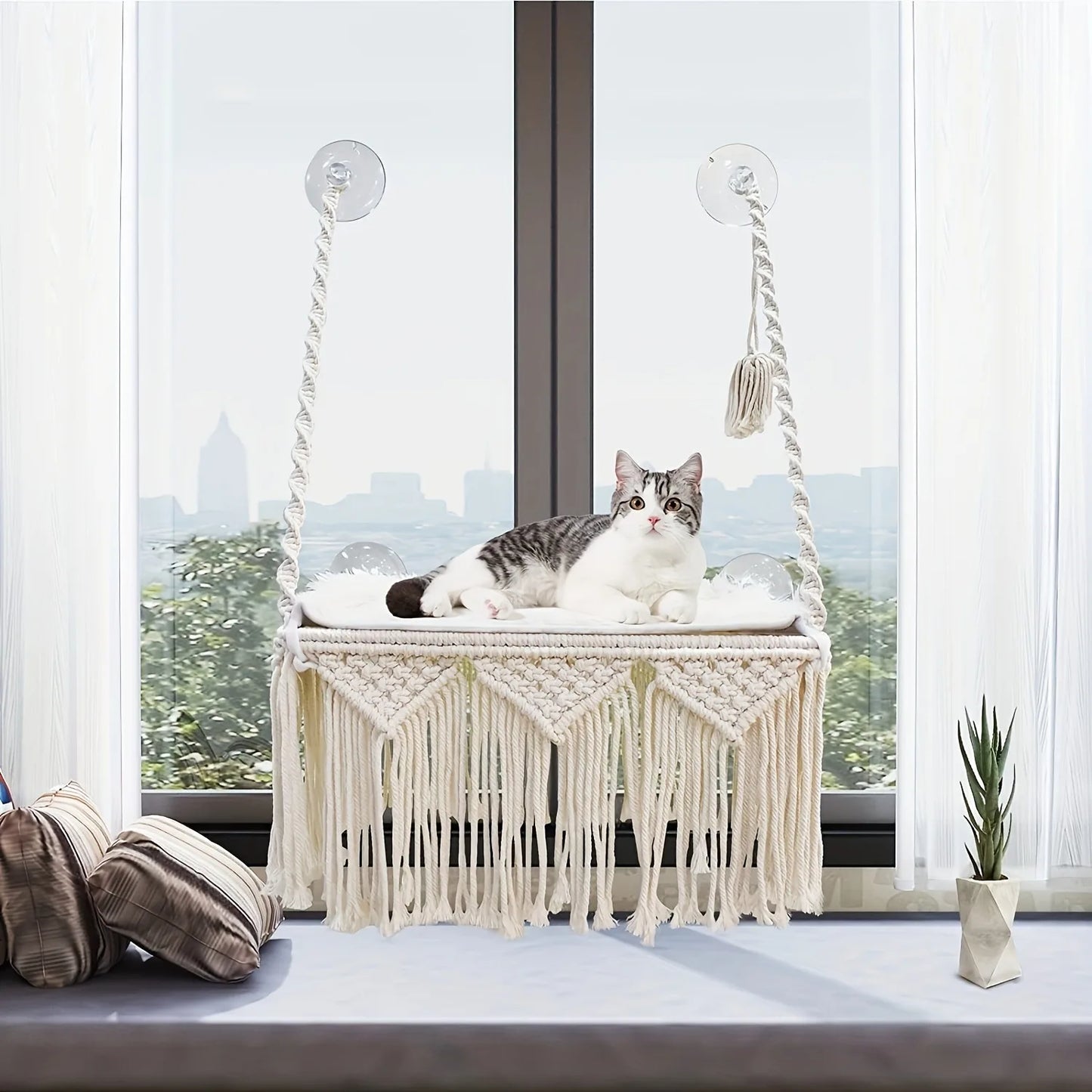 Bed for Cats Hammock Hammack Window Accessories Balcon Pets Beds House Furniture Things Pet Hammocks Hanging Products Cat