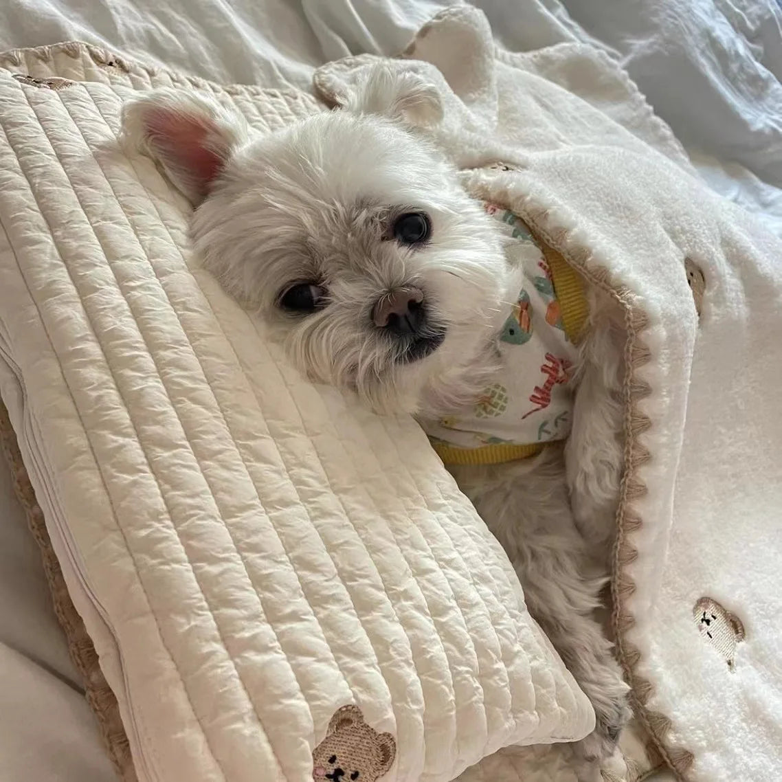 3Pcs /Set Dog Bed Set with Pillow Mattress Comforter Removable Washable Cat Nest Soft Comfortable Pet Supplies Dog Accessories