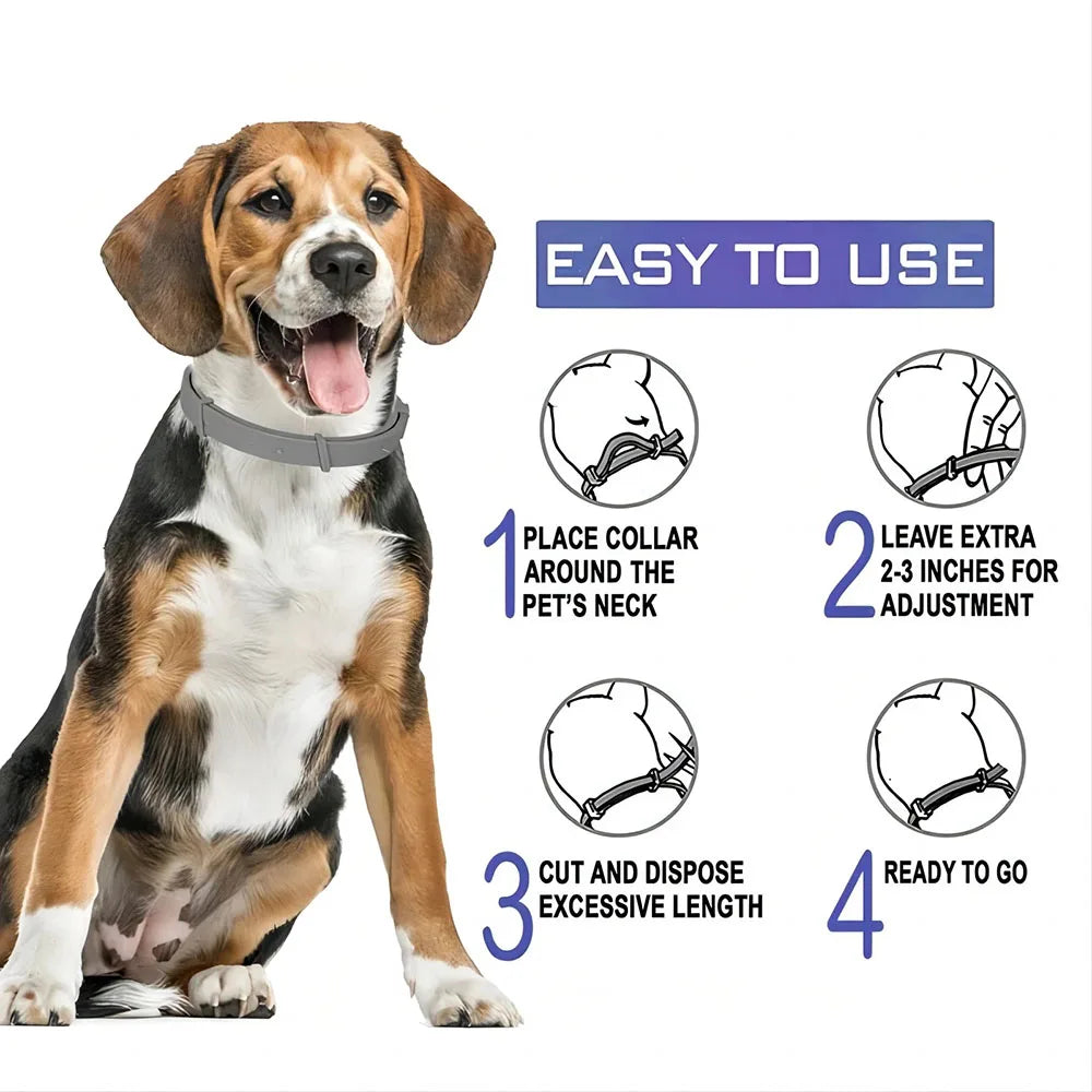 Colorful Rubber Pet Cat Dog Collars Puppy Neck Strap Waterproof 70cm Adjustable for Small Medium Large Dogs Pet Supplies
